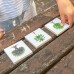 Andreu Toys Vegetables Food Origin