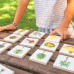 Andreu Toys Vegetables Food Origin