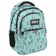 Back Up School Backpack P 76 Racoon
