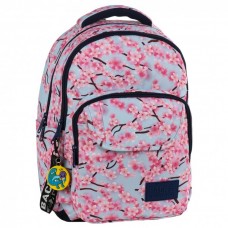 Back Up  School Backpack L 25