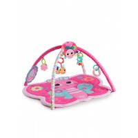 Bright Starts Bright Butterfly Activity Gym
