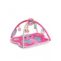 Bright Starts Bright Butterfly Activity Gym Bright Starts Bright Butterfly Activity Gym