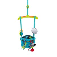 Bright Starts Bounce 'n Spring Deluxe Door Jumper