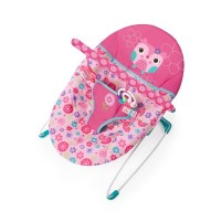Bright Starts Happy Flowers  Bouncer