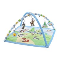 Chipolino Musical activity play mat Forest