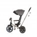 Chipolino Tricycle with canopy Derby