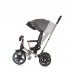 Chipolino Tricycle with canopy Derby
