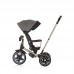 Chipolino Tricycle with canopy Derby