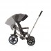 Chipolino Tricycle with canopy Derby