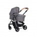 Graco Baby Stroller Evo II Avant 3 in 1