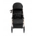 Kikkaboo Joy Baby Stroller