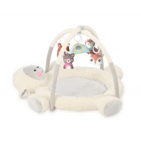 Lorelli Baby Activity Gym Mary