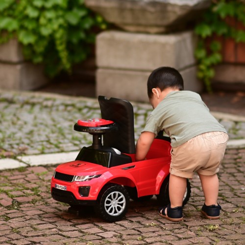 Baby Ride On, Pull & Push Push Toys : Lorelli Ride On ...