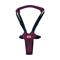 Lorelli Step by Step baby walk harness, red