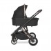 Lorelli Baby stroller Aria 2 in 1