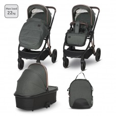 Lorelli Baby stroller Aria 2 in 1, green