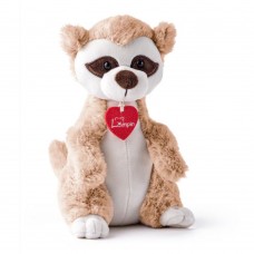 Lumpin Meerkat Djamila