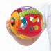 Playgro Топка Дрънкалка Shake Rattle and Roll Ball
