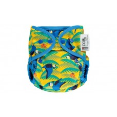 Close Parent Single Printed Reusable Popper Nappy +bamboo Parrot Close Parent Single Printed Reusable Popper Nappy +bamboo Parrot