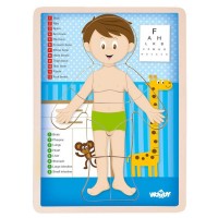 Woody Wooden Puzzle Human Body, Boy Woody Wooden Puzzle Human Body, Boy
