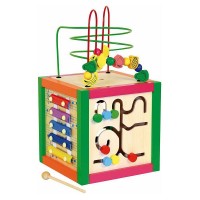 Woody Multiactivity instructional cube