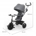 KinderKraft Tricycle Aston 2 Plus