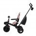 KinderKraft Tricycle Aveo 2 Plus
