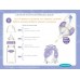 Lansinoh Feeding Bottle with natural Wave Teat 240ml