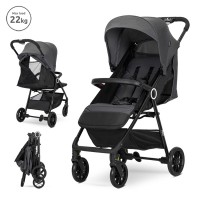 Lorelli Baby stroller Noir up to 22 kg, grey