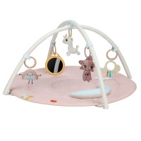 Tiny Love Developmental Gymini Activity Gym
