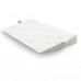 Babymoov Antibacterial sloping mattress Cosymat