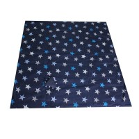 Minene Picnic Mat & Bag Navy blue with stars