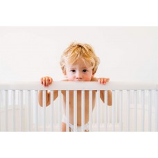 Prince Lionheart Crib-Cot Rail Teether