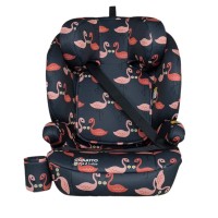 Cosatto Ninja 2 i-Size Car Seat Pretty Flamingo