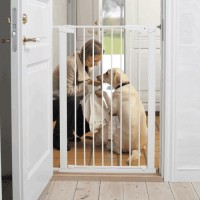 BabyDan Two Way Auto Close