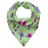 Лигавник шалче  Бандана Теменужки 2