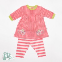 F.S.Baby Baby Dress + leggings