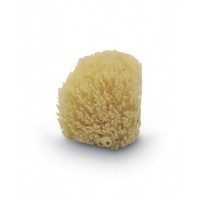 Jane Natural Sponge