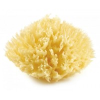 Thermobaby Honeycomb Mediterranean natural sponge