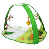 Cangaroo Activity Gym Pastel Green Forest