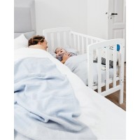 BabyDan Alfred By-My-Side babycot on wheels 