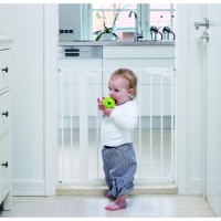 BabyDan Two Way Auto Close 